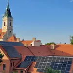 Royal Court - Hu Registered Intstud Szekszard