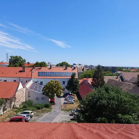 Royal Court - Hu Registered Intstud Szekszárd