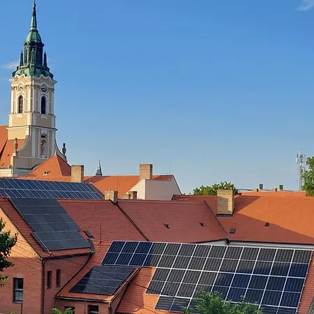 Royal Court - Hu Registered Intstud Szekszárd